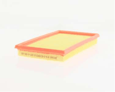 Air Filter (AZMT-41-030-1905)