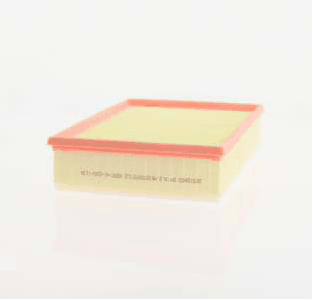Air Filter (AZMT-41-030-1134)