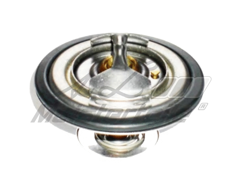 Thermostat, coolant (AZMT-46-040-2320)