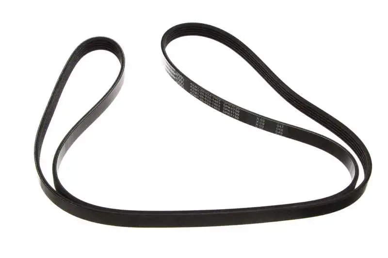 V-Ribbed Belt