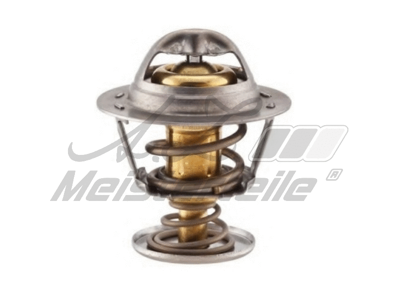 Thermostat, coolant (AZMT-46-040-2329)