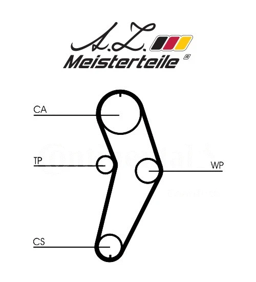 Timing Belt Kit (AZMT-30-058-2091)