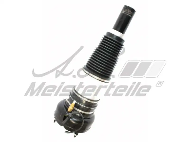 Shock Absorber (AZMT-54-020-1012)