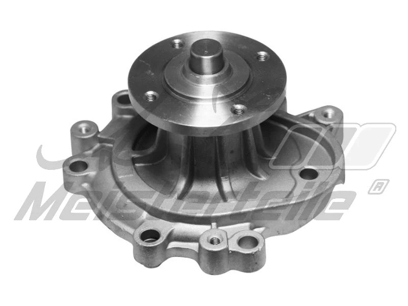 Water Pump, engine cooling (AZMT-30-100-1613)