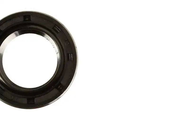 Shaft Seal, countershaft