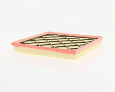 Air Filter (AZMT-41-030-1373)