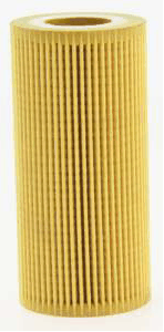 Oil Filter (AZMT-41-040-1219)
