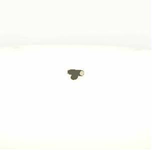 Sensor, wheel speed (AZMT-49-020-1024)
