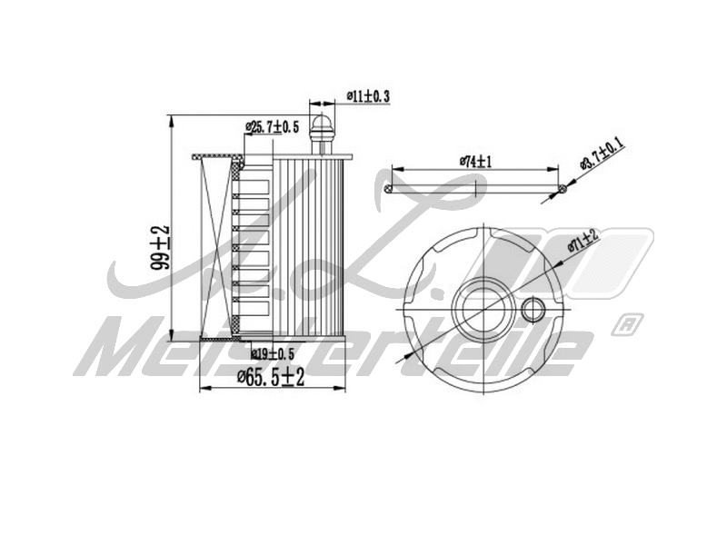 Oil Filter