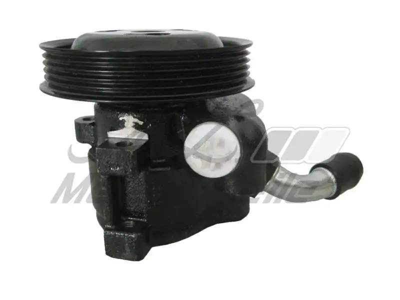 Hydraulic Pump, steering (AZMT-42-022-1171)