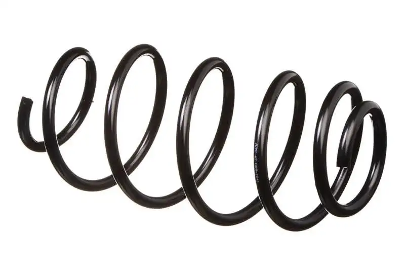 Suspension Spring (AZMT-42-089-1641)