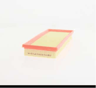 Air Filter (AZMT-41-030-1446)