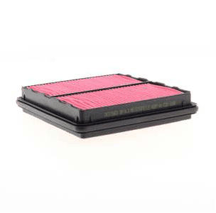 Air Filter (AZMT-41-030-1698)