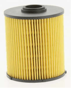 Fuel Filter (AZMT-41-020-1216)
