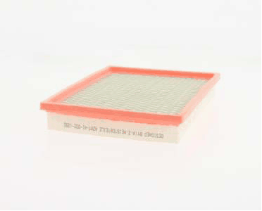 Air Filter (AZMT-41-030-1250)