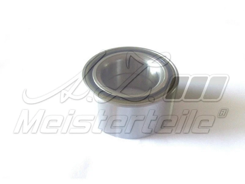 Wheel Bearing Kit (AZMT-42-051-1244)