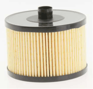 Fuel Filter (AZMT-41-020-1258)