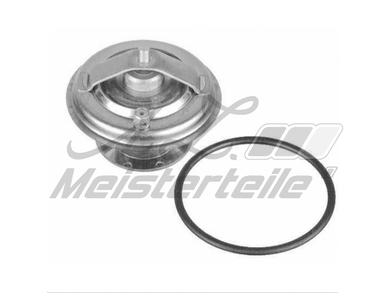 Thermostat, coolant (AZMT-46-040-2163)