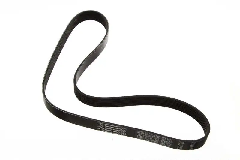 V-Ribbed Belt