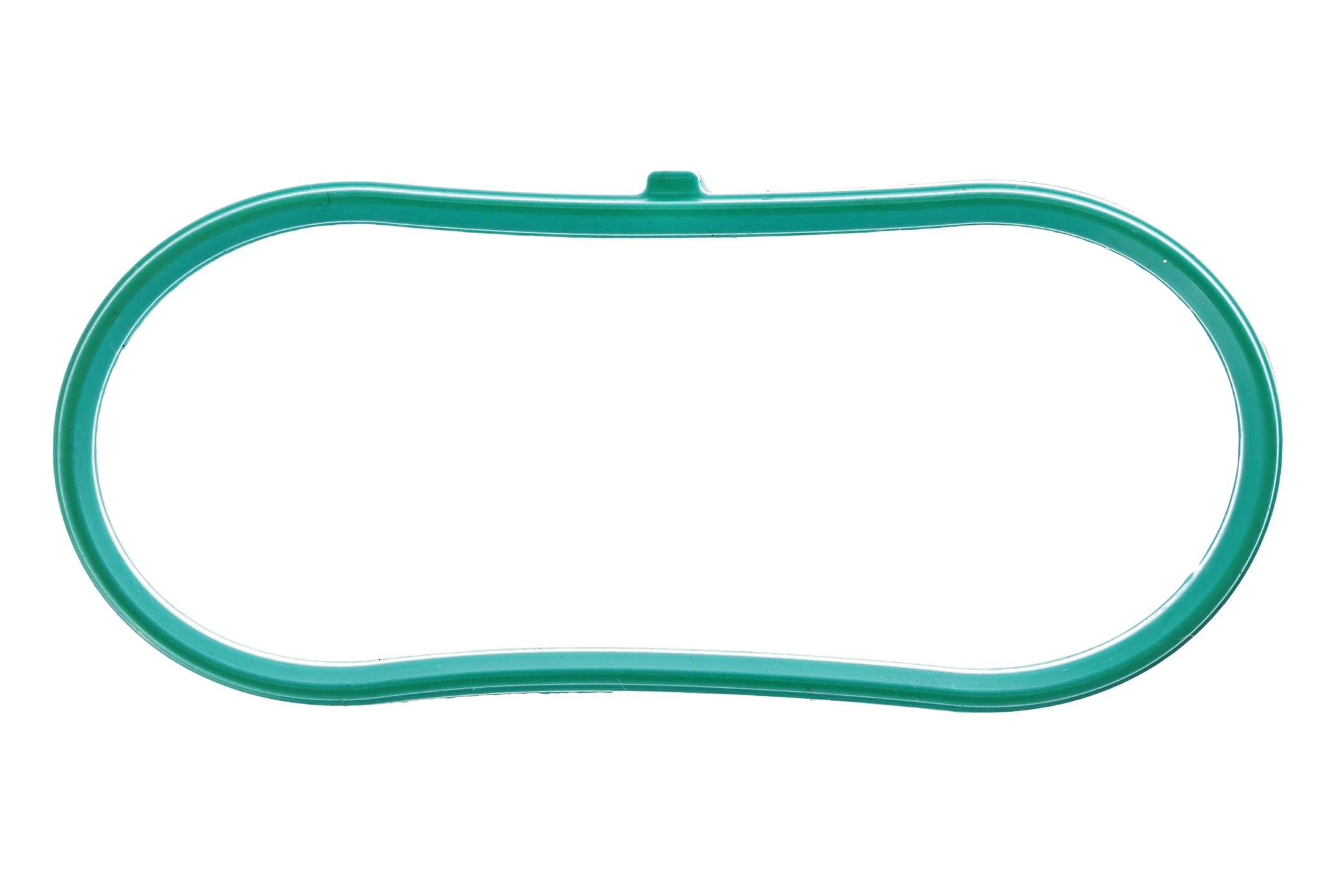 Gasket, intake manifold