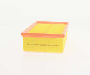 Air Filter (AZMT-41-030-1547)