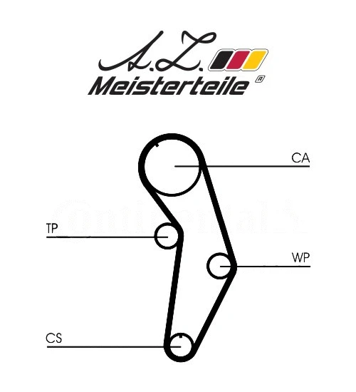 Timing Belt Kit (AZMT-30-058-2031WP)