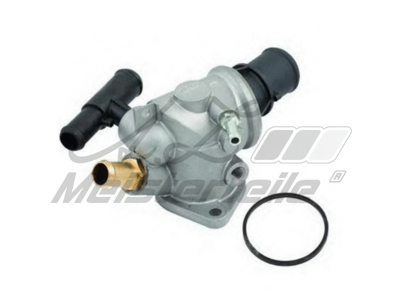 Thermostat, coolant (AZMT-46-040-2369)
