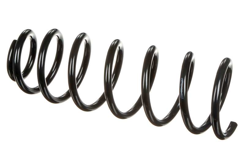 Suspension Spring (AZMT-42-089-2117)