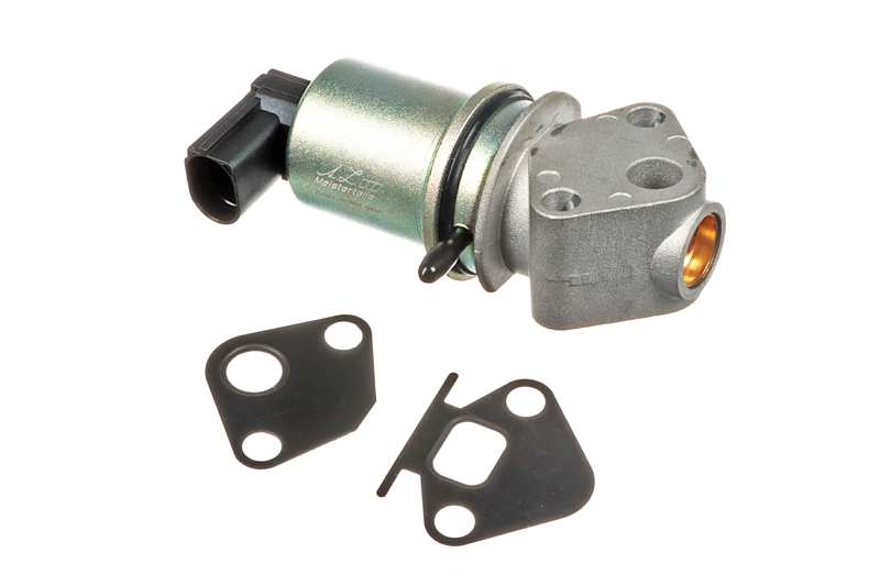 EGR Valve