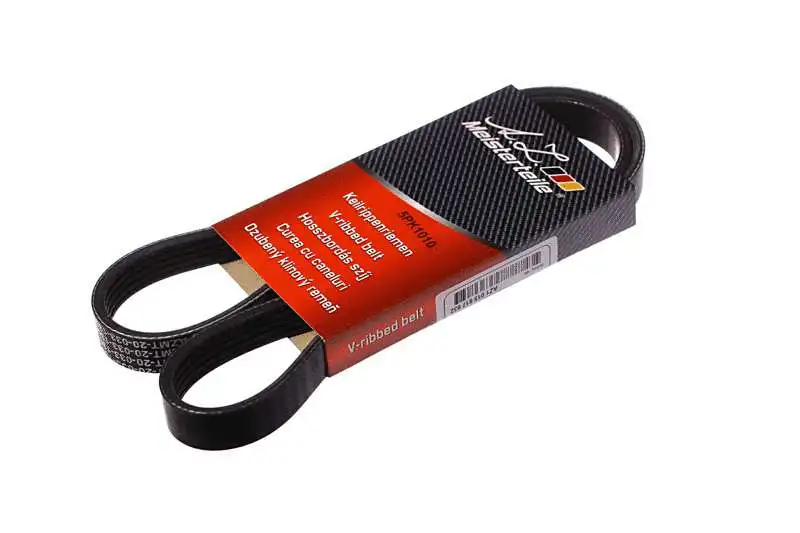 V-Ribbed Belt (AZMT-20-033-1301)