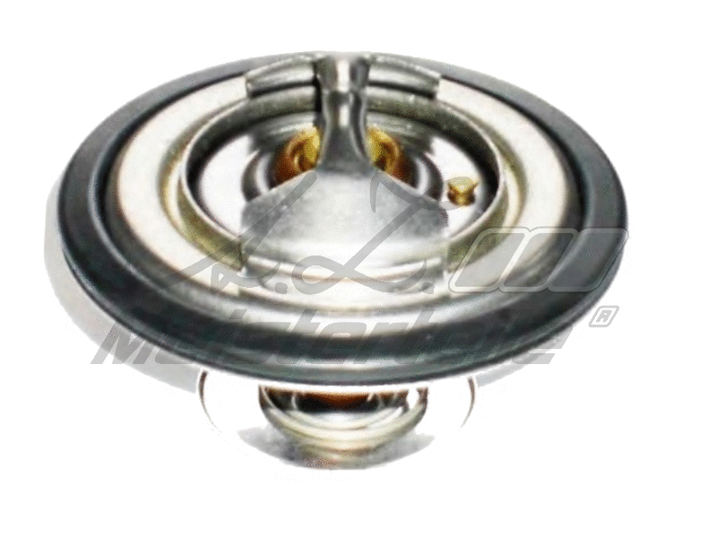 Thermostat, coolant (AZMT-46-040-2319)