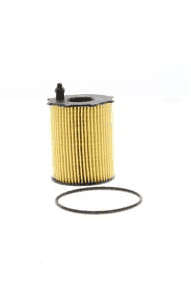 Oil Filter (AZMT-41-040-1321)