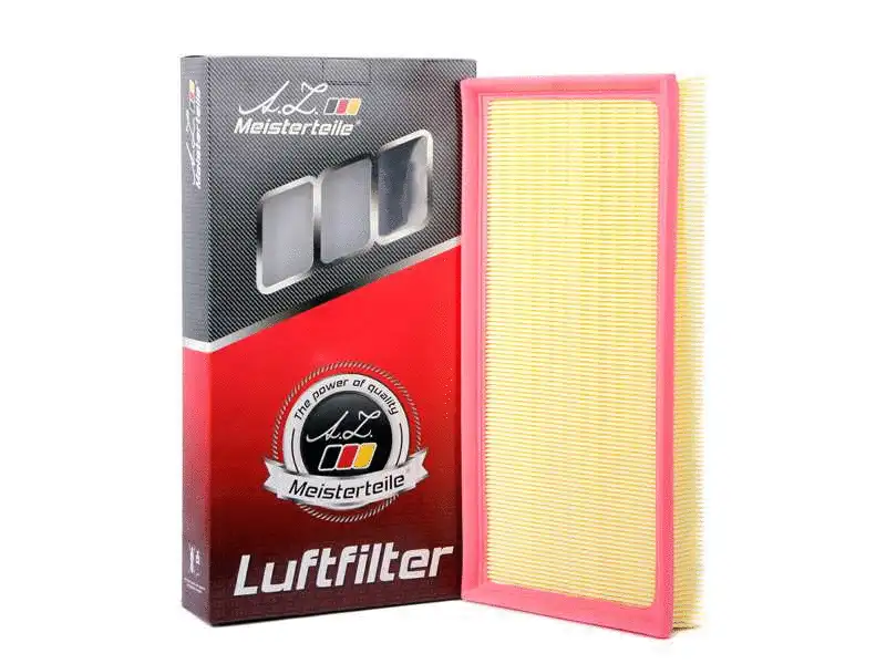 Air Filter (AZMT-41-030-1085)