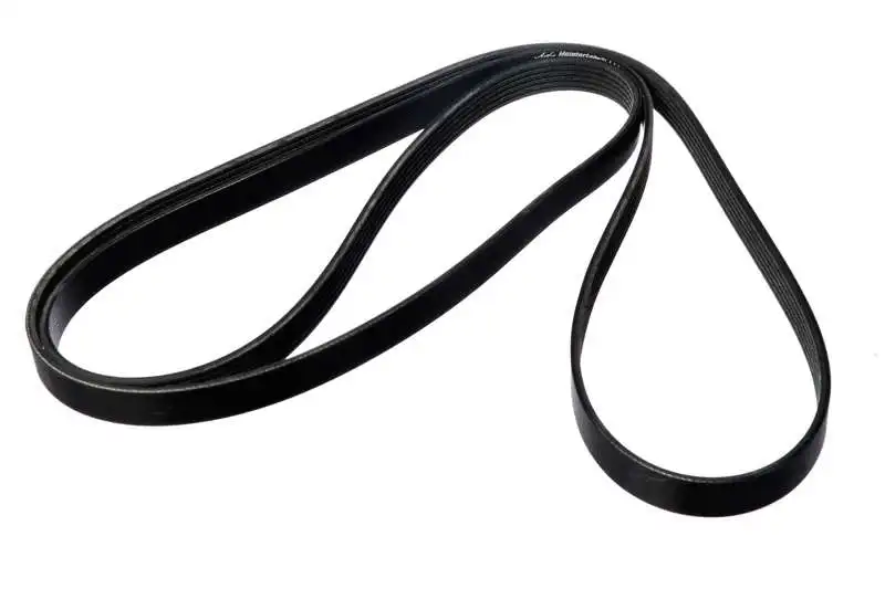 V-Ribbed Belt