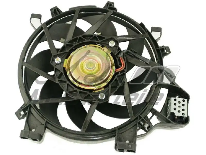 Fan, engine cooling