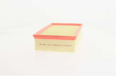 Air Filter (AZMT-41-030-1092)