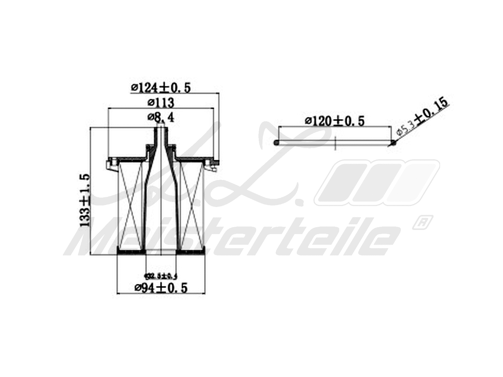 Fuel Filter