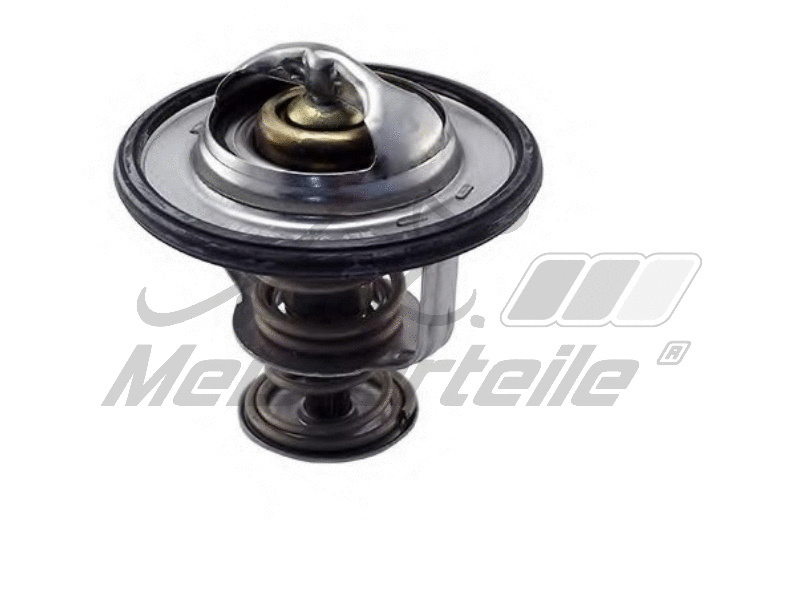 Thermostat, coolant (AZMT-46-040-2407)
