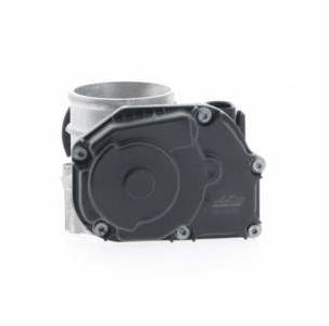 Throttle Body (AZMT-49-020-4017)