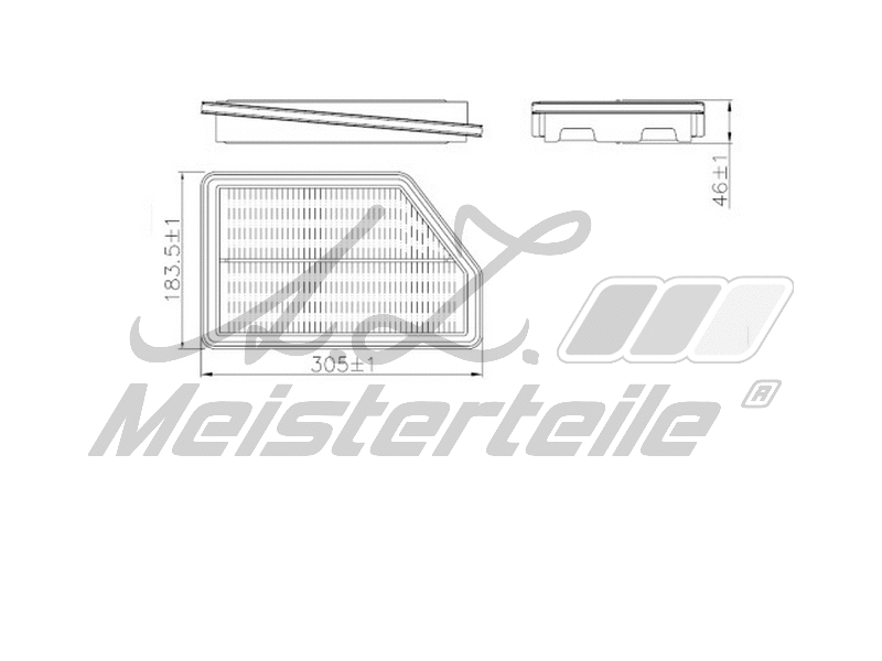Air Filter (AZMT-41-030-1952)
