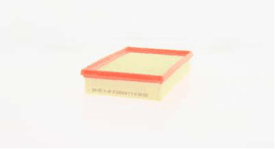Air Filter (AZMT-41-030-1895)