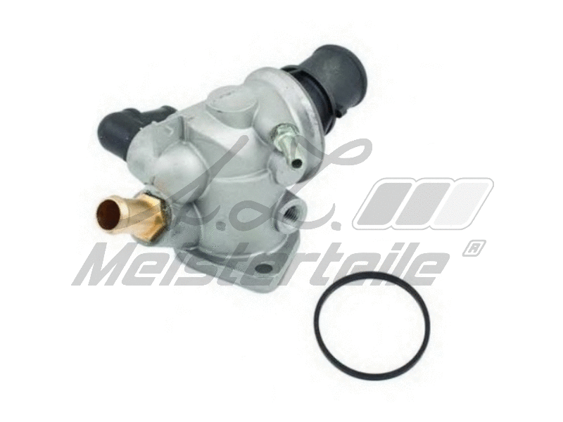 Thermostat, coolant (AZMT-46-040-2298)