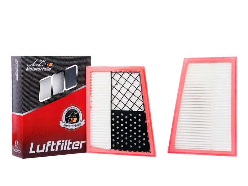 Air Filter (AZMT-41-030-1656)