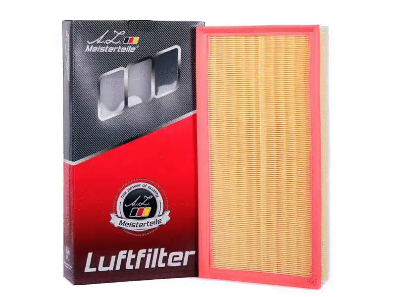 Air Filter (AZMT-41-030-1114)