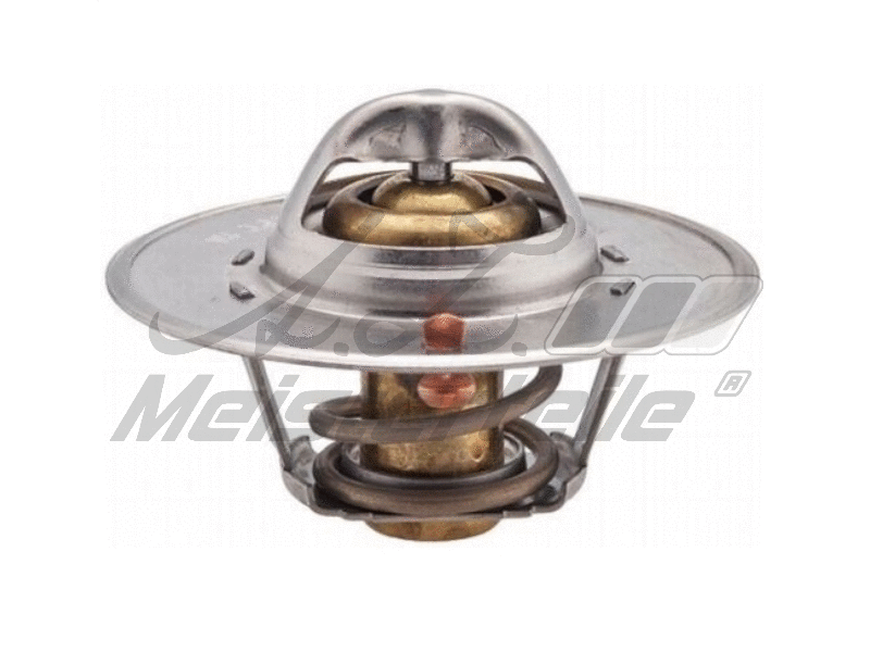 Thermostat, coolant (AZMT-46-040-2126)