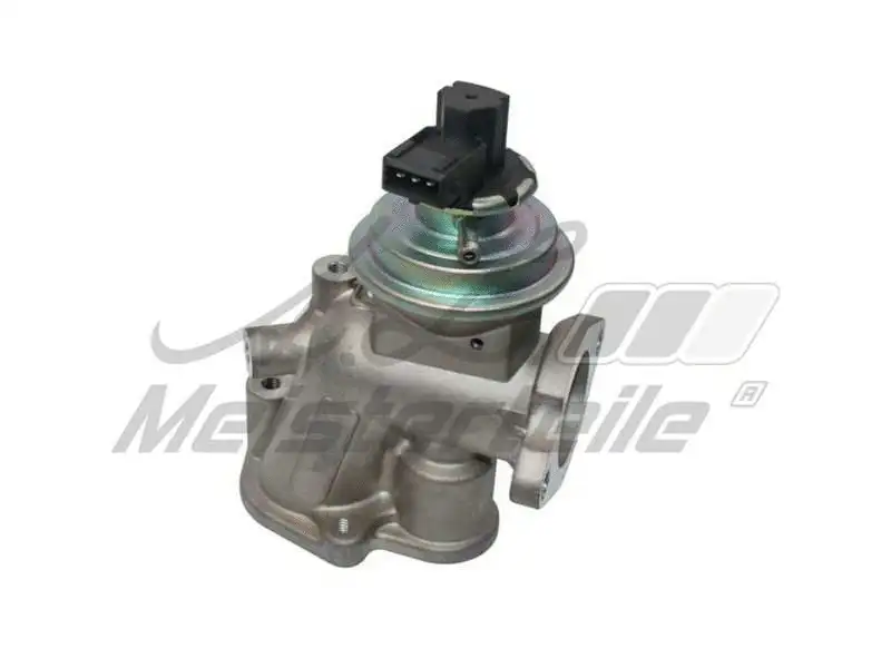 EGR Valve (AZMT-30-010-1102)