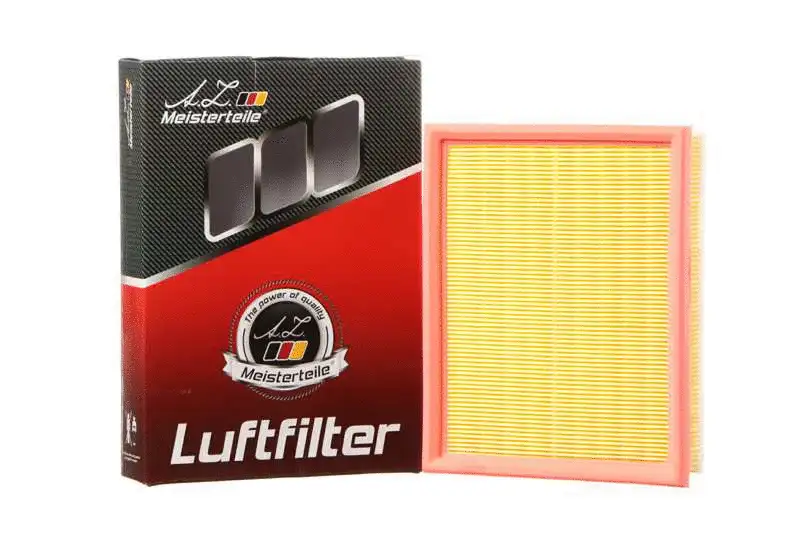 Air Filter (AZMT-41-030-1365)