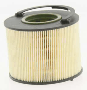 Fuel Filter (AZMT-41-020-1276)