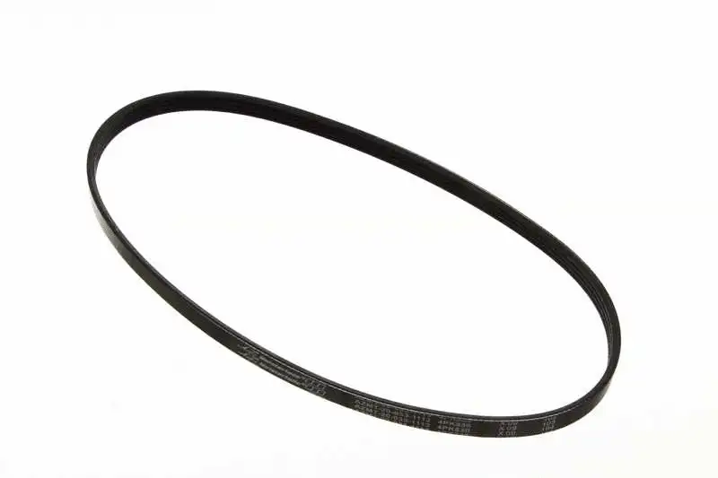 V-Ribbed Belt (AZMT-20-033-1113)