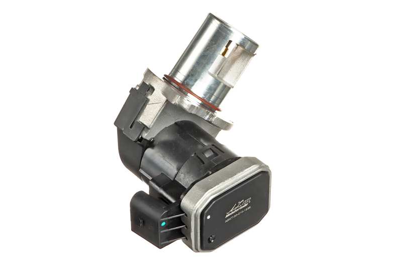 EGR Valve (AZMT-30-010-1238)